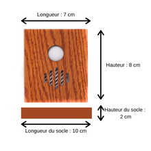 Charger l&#39;image dans la galerie, Boitiers Vocaux - Urne Vocales
